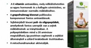 Reg-enor pontos osszetetele