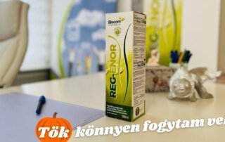 Gyakori kérdések RegEnor