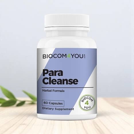 Para Cleanse