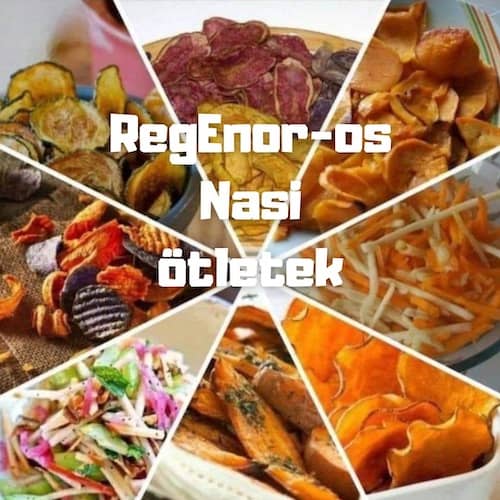 regenoros nasi ötletek